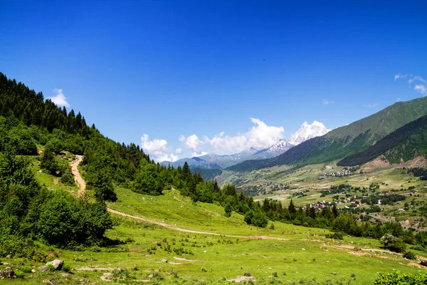 Kafkasya 'da yaz manzarası, arka planda Ushba, Georgia.
