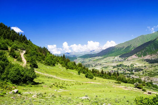 Zomer Landschap Kaukasische Berg Ushba Achtergrond Georgië — Stockfoto