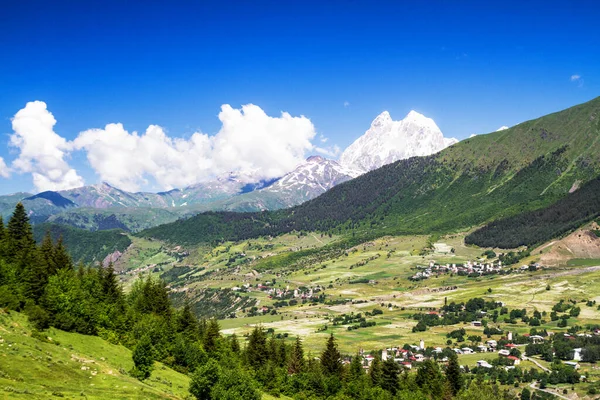 Paysage Été Montagne Caucasienne Ushba Arrière Plan Géorgie — Photo