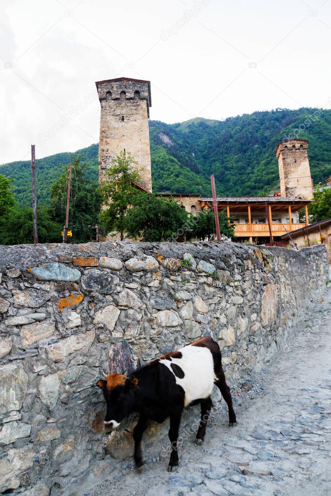 Defense tower, Mestia, Upper Svanetia, Caucasus Mountains, Georgia