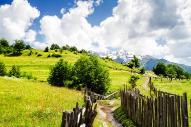 Kafkas dağlarının şaşırtıcı yeşil doğası, Georgia