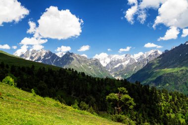 Kafkas dağlarının şaşırtıcı yeşil doğası, Georgia