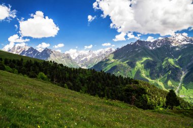 Kafkas dağlarının şaşırtıcı yeşil doğası, Georgia
