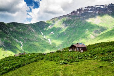 Kafkasya Dağı 'nın çiftliği, Georgia..