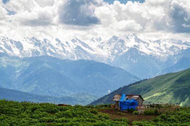 Kafkasya Dağı 'nın çiftliği, Georgia..