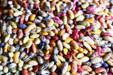 Kurutulmuş fasulyenin renkli karışımı.