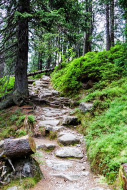 Tatra Dağları Ulusal Parkı, Polonya
