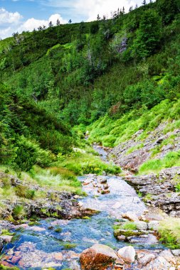 Polonya 'nın Tatras şehrinde akan sular