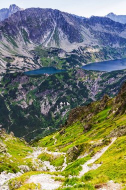Polonya 'daki Tatra Dağları Ulusal Parkı' nda 5 göl vadisinde yaz mevsimi