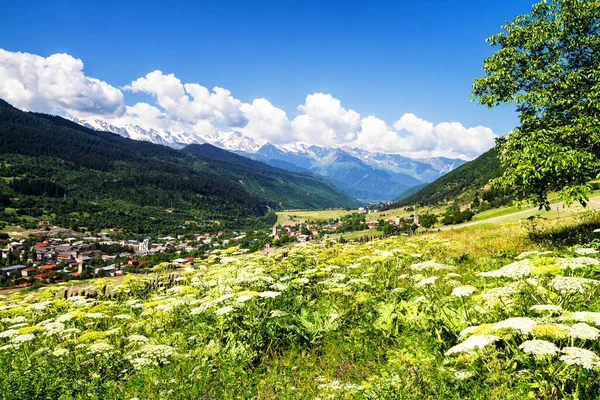 Piękny Krajobraz Przyrody Mestia Gruzja — Zdjęcie stockowe