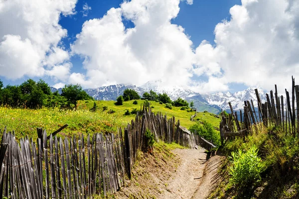 Increíble Naturaleza Verde Las Montañas Del Cáucaso Georgia — Foto de Stock