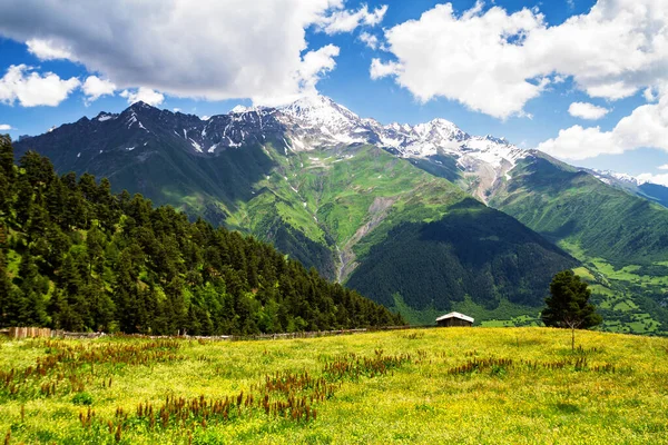 Kafkas Dağlarının Şaşırtıcı Yeşil Doğası Georgia — Stok fotoğraf