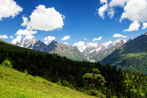 Niesamowita Zielona Natura Kaukazu Gruzja — Zdjęcie stockowe