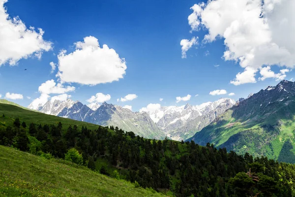 Kafkas Dağlarının Şaşırtıcı Yeşil Doğası Georgia — Stok fotoğraf