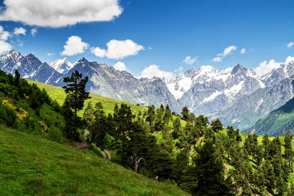 Incrível Natureza Verde Das Montanhas Cáucaso Geórgia — Fotografia de Stock