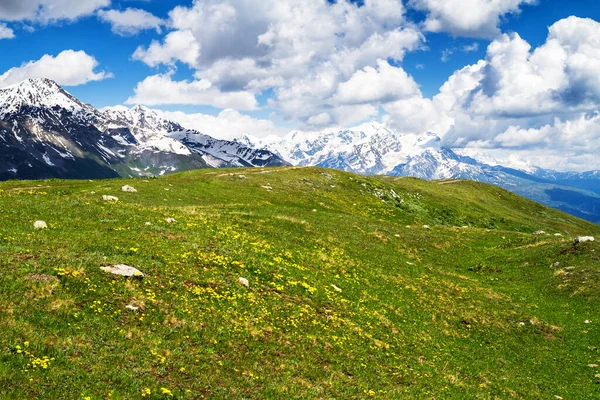 Καταπληκτική Πράσινη Φύση Του Καυκάσου Βουνά Γεωργία — Φωτογραφία Αρχείου