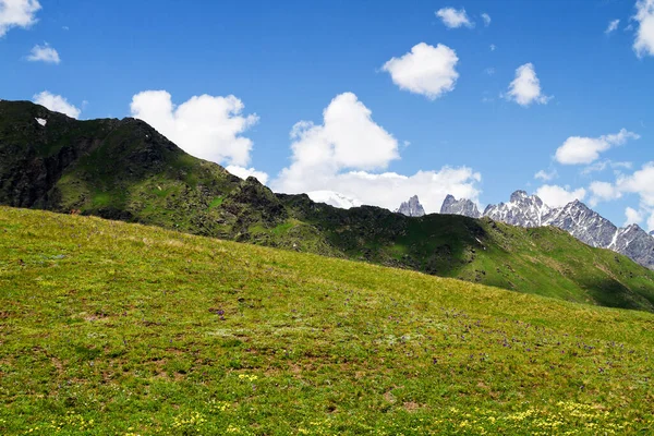 Fantastisk Grön Natur Kaukasus Berg Georgien — Stockfoto