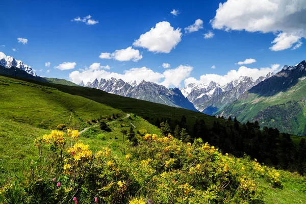 Gürcistan Daki Kafkas Dağlarının Büyüleyici Doğası — Stok fotoğraf