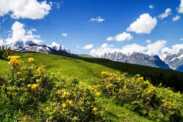 Natureza Fascinante Das Montanhas Caucasianas Geórgia — Fotografia de Stock