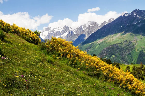 Fascinante Naturaleza Las Montañas Del Cáucaso Georgia —  Fotos de Stock