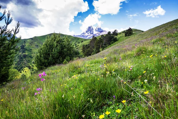 Mount Ushba Kaukasus Georgien — Stockfoto