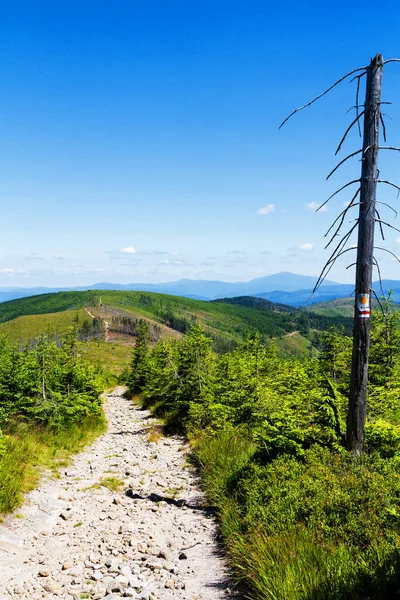 Paisagem Verão Beskid Slaski Polonia — Fotografia de Stock