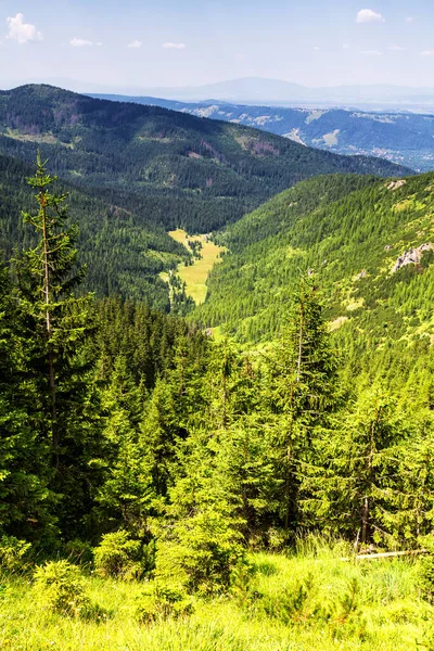 Nationalpark Tatra Polen — Stockfoto