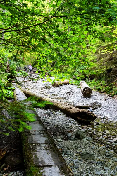 Slovakiska Paradise National Park Slovakien — Stockfoto