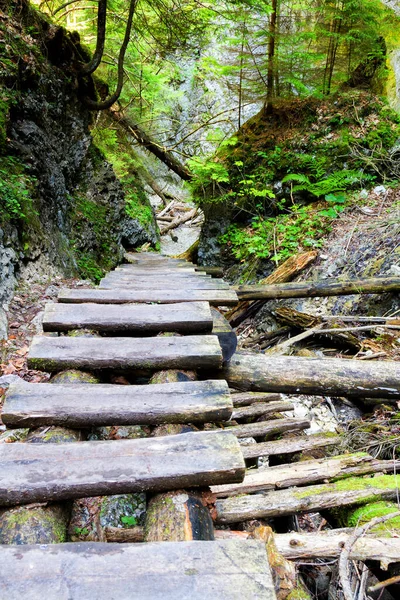 Σλοβακική Paradise National Park Σλοβακία — Φωτογραφία Αρχείου