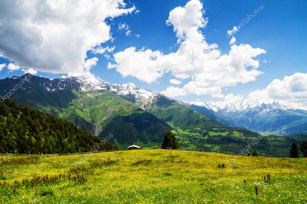Amazing green nature of Caucasus mountains, Georgia