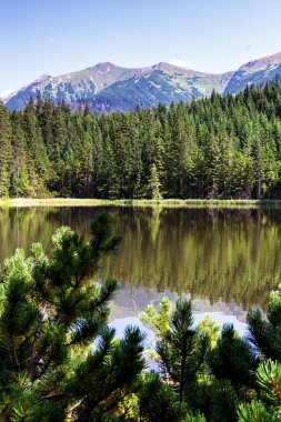 Polonya 'daki Tatra Ulusal Parkı' nda Smreczynski Gölü