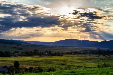 Manzara, güneşli bir tarlada şafak