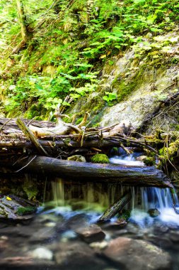 Slovak Paradise Ulusal Parkı, Slovakya