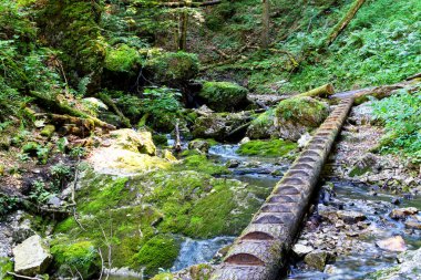 Slovak Paradise Ulusal Parkı, Slovakya