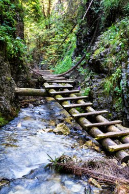 Slovak Paradise Ulusal Parkı, Slovakya