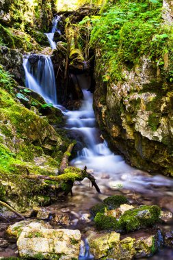 Slovak Paradise Ulusal Parkı, Slovakya