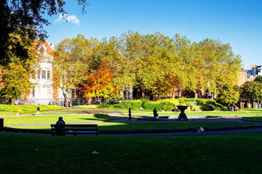 DUBLIN, IRELAND - 11 Kasım 2013 'te Dublin, İrlanda' da St. Patrick katedralinin yakınına park edin. Park Dublin 'de bir şehir parkı.