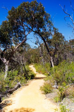 Avustralya 'daki milli parkta yol