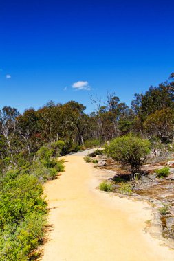 Avustralya 'daki milli parkta yol
