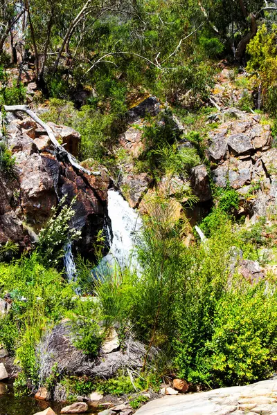Mckenzie Falls Grampians National Park Australië — Stockfoto
