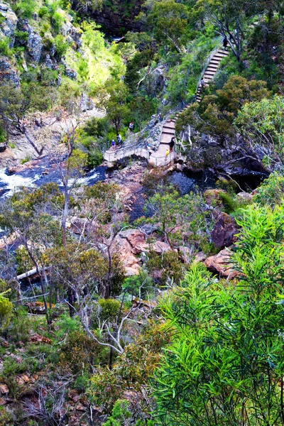 Fließendes Wasser Grampians Natinal Park Victoria Australien — Stockfoto