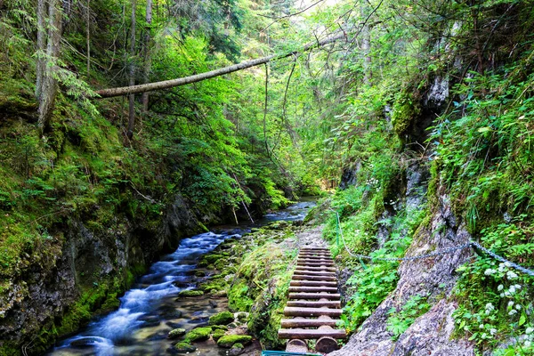 Slovak Paradise National Park Eslováquia — Fotografia de Stock