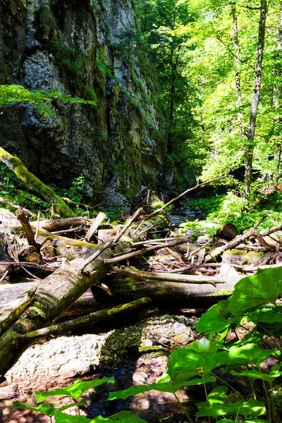 Parque Nacional Del Paraíso Eslovaco Eslovaquia — Foto de Stock