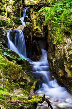 Slovak Paradise Ulusal Parkı, Slovakya