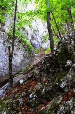 Slovak Paradise Ulusal Parkı, Slovakya