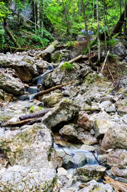 Slovak Paradise Ulusal Parkı, Slovakya