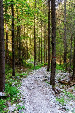 Slovak Paradise Ulusal Parkı, Slovakya
