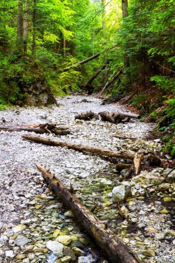 Slovak Paradise Ulusal Parkı, Slovakya