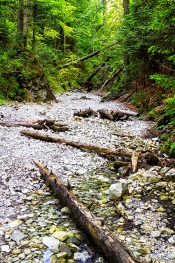 Slovak Paradise Ulusal Parkı, Slovakya