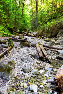 Slovak Paradise Ulusal Parkı, Slovakya